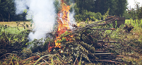 Arrêté interdisant le brûlage à l’air libre des déchets ménagers et assimilés