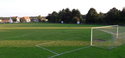 vie sportive betting