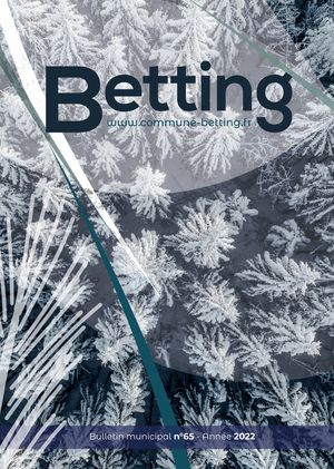 Bulletin municipal Betting 65